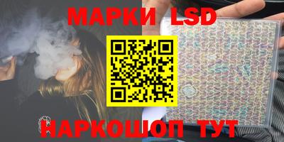 прущие грибы Апшеронск