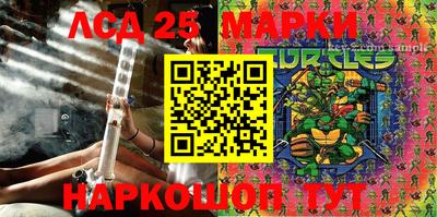 прущие грибы Апшеронск