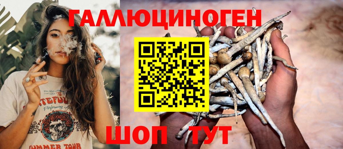 Шарыпово  Галлюциногенные грибы Magic Shrooms  Вход с VPN 
