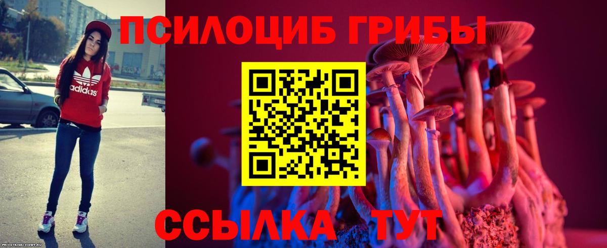 Галлюциногенные грибы GOLDEN TEACHER Шарыпово